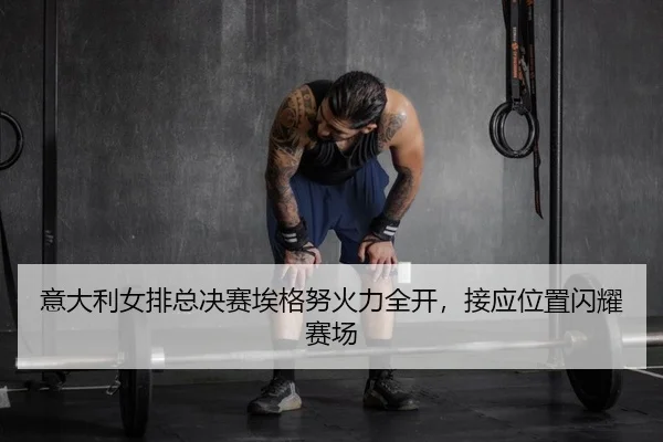 意大利女排总决赛埃格努火力全开，接应位置闪耀赛场